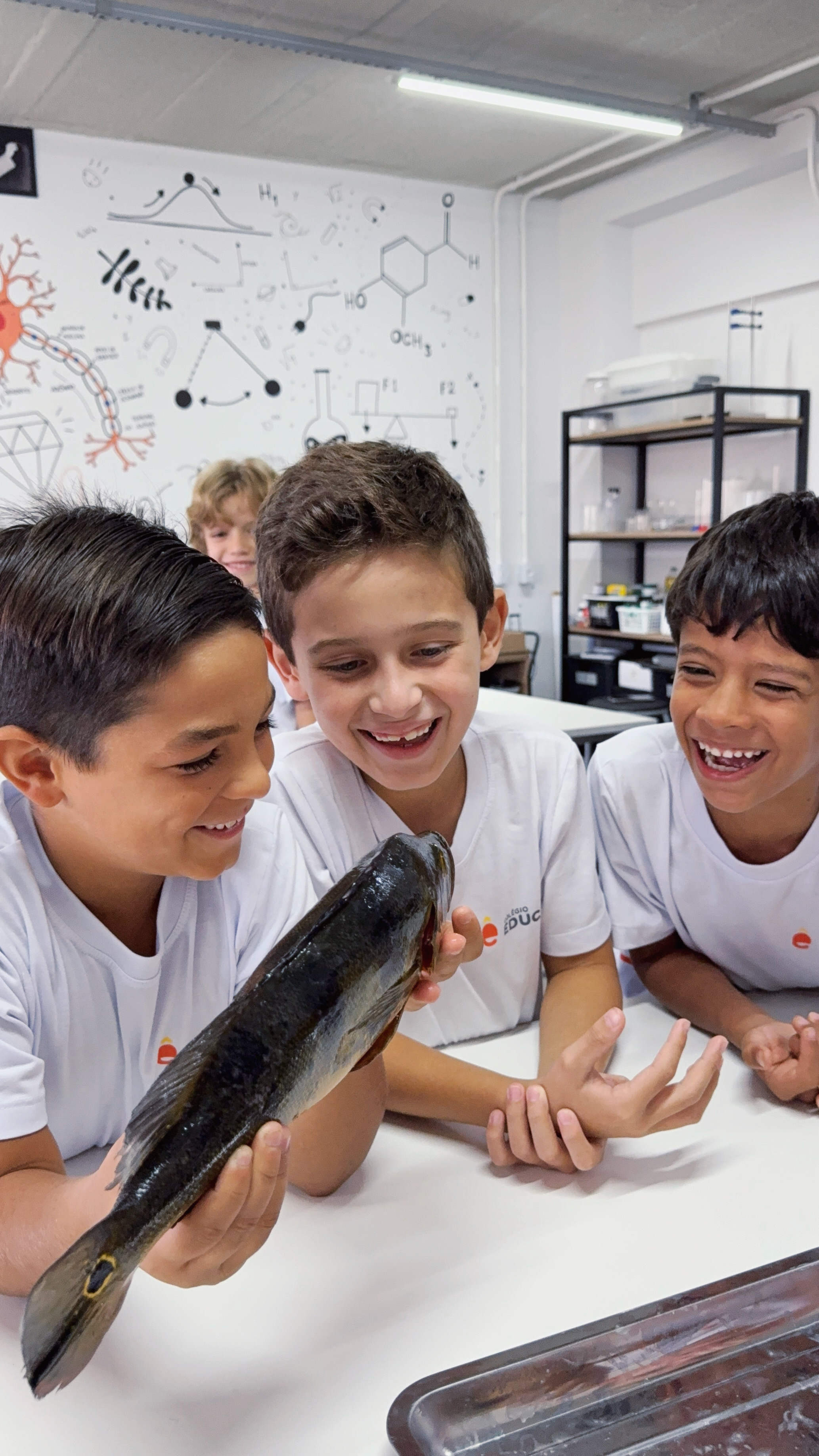 Alunos Educare